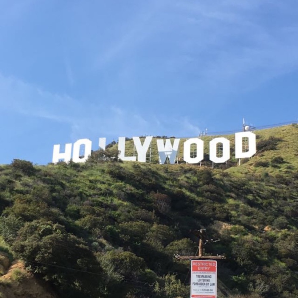 Meet your Posher, Adi